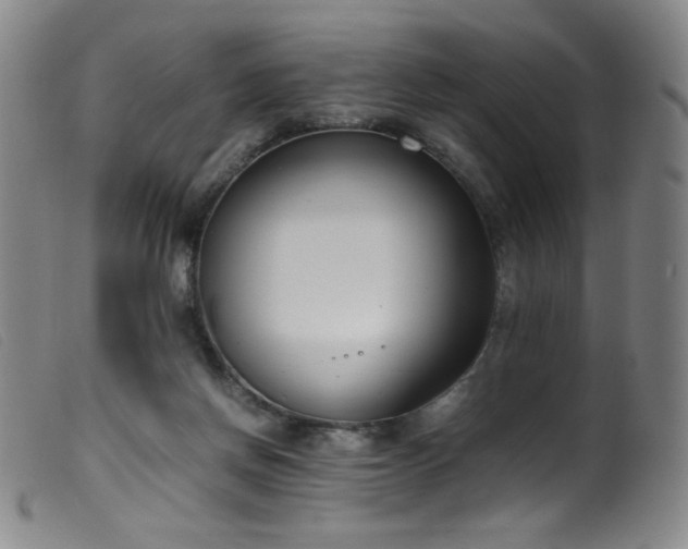 X0000099550166200805161501
