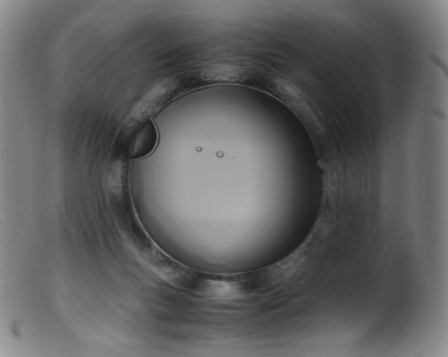 X0000099550167200805161501