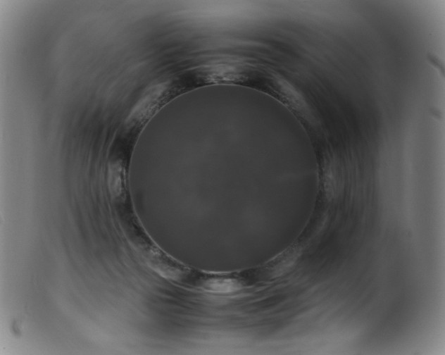 X0000099550169200805161501