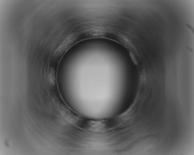 X0000099550170200805161501