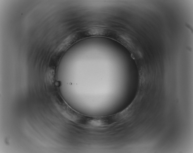 X0000099550171200805161501