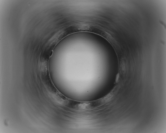 X0000099550172200805161501