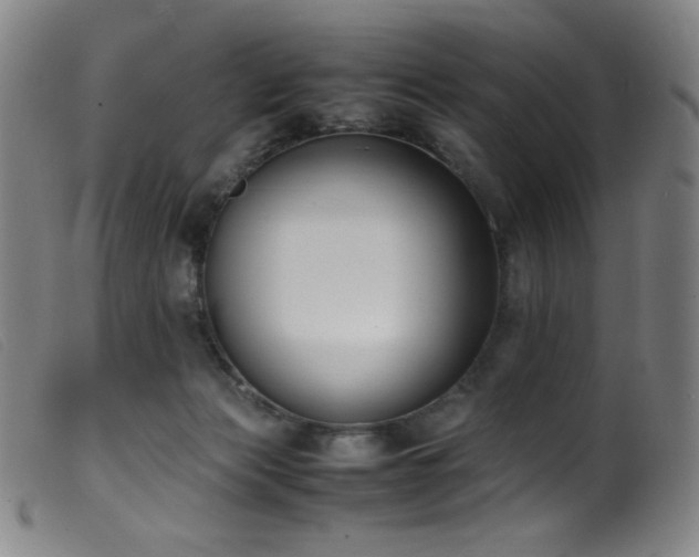 X0000099550173200805161501