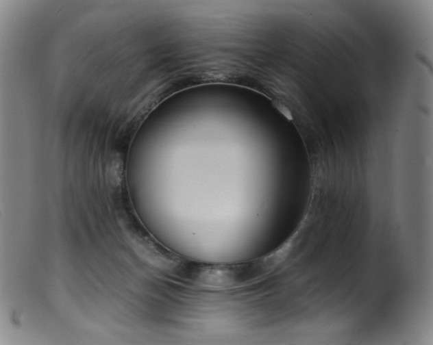 X0000099550174200805161501