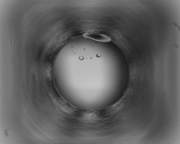 X0000099550175200805161501