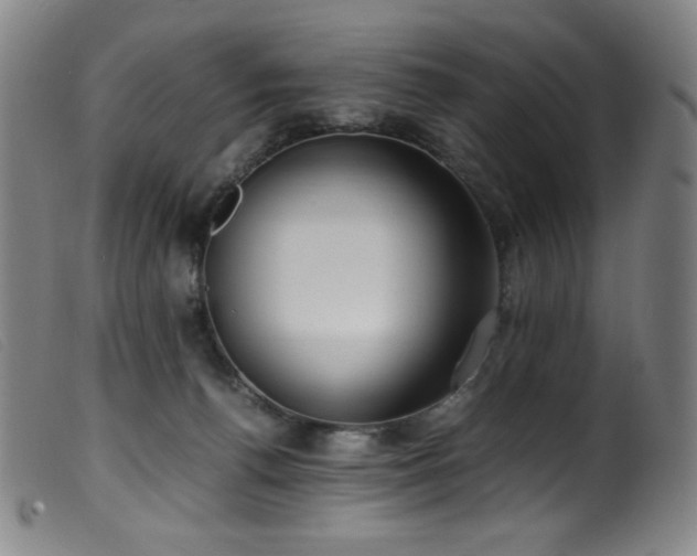 X0000099550176200805161501