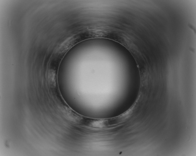 X0000099550178200805161501