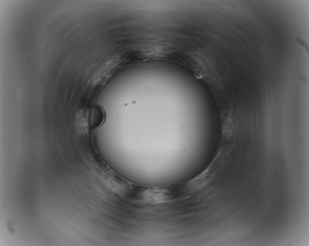 X0000099550179200805161501
