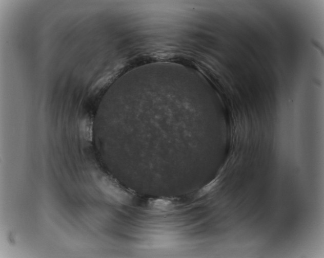 X0000099550180200805161501