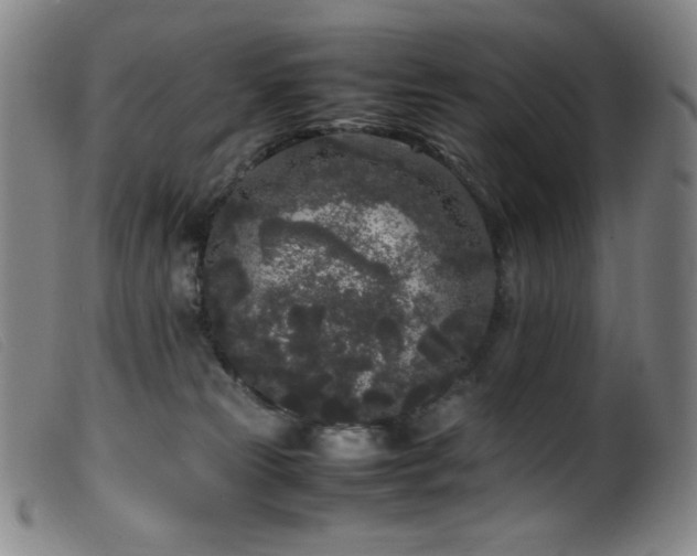 X0000099550181200805161501