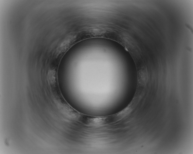 X0000099550184200805161501