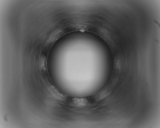 X0000099550185200805161501