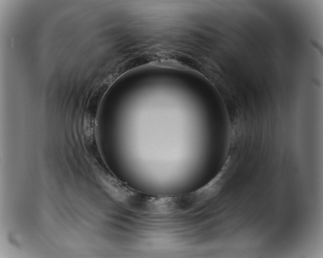 X0000099550186200805161501