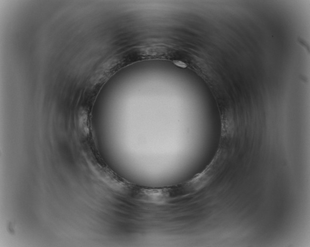 X0000099550187200805161501