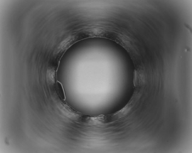 X0000099550188200805161501