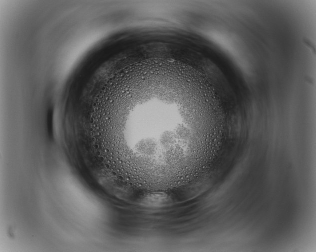 X0000099550189200805161501
