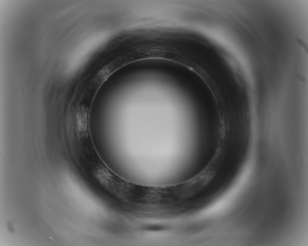 X0000099550190200805161501