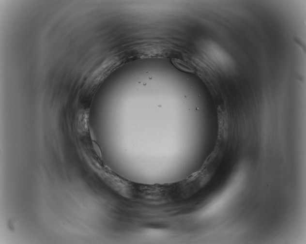X0000099550191200805161501