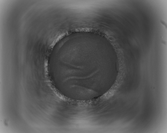 X0000099550192200805161501