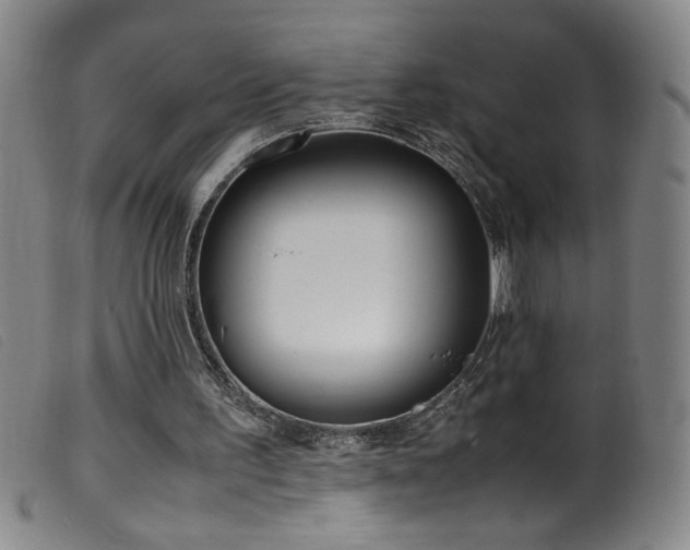 X0000099550195200805161500