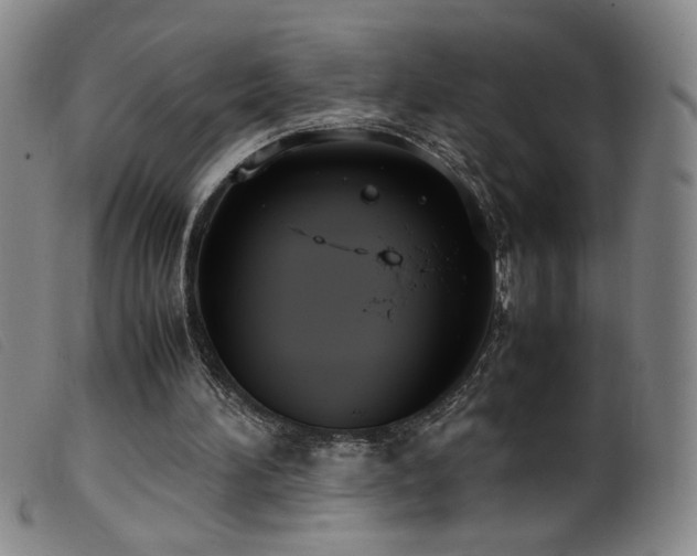 X0000099550196200805161500