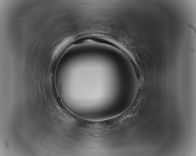 X0000099550197200805161500
