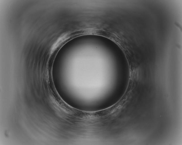 X0000099550198200805161500