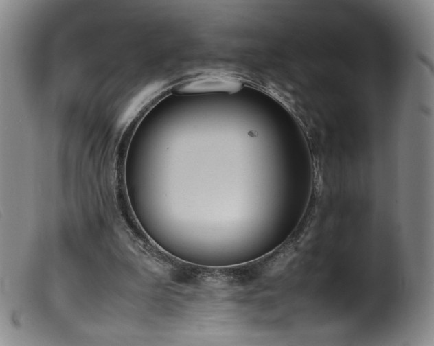 X0000099550199200805161500