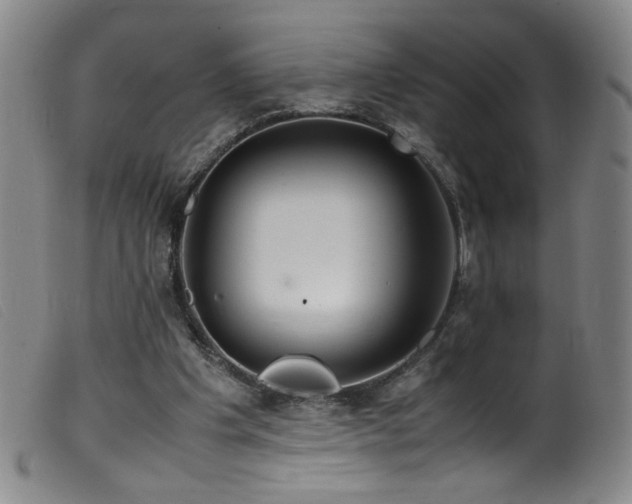 X0000099550201200805161500