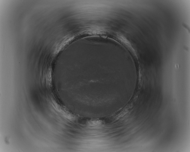 X0000099550202200805161500
