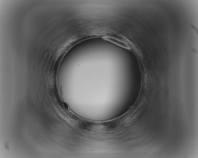 X0000099550203200805161500