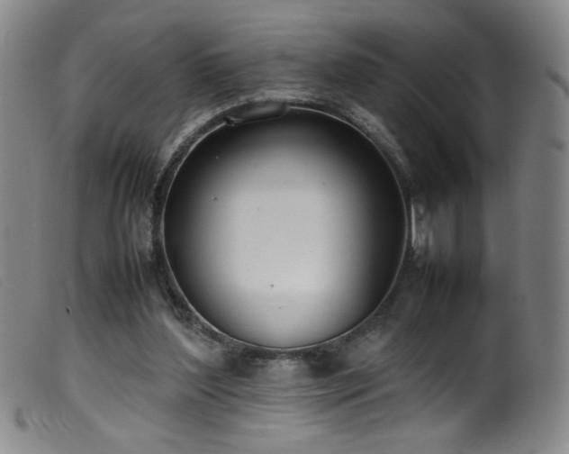 X0000099550204200805161500
