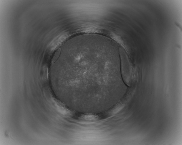 X0000099550205200805161500