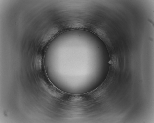 X0000099550206200805161500