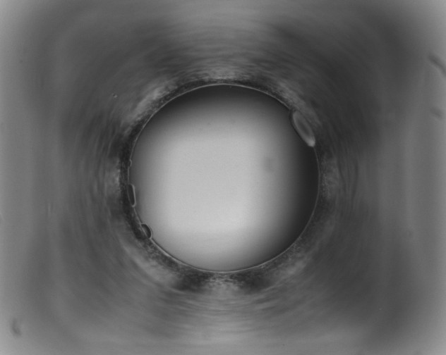 X0000099550207200805161500