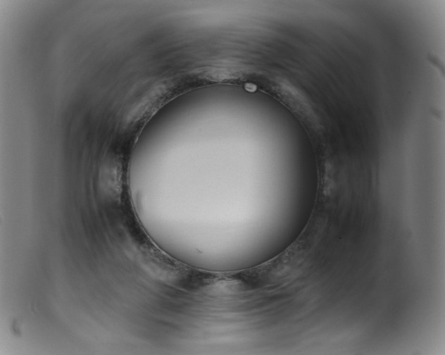 X0000099550210200805161500
