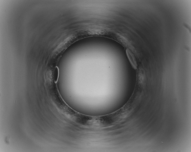 X0000099550211200805161500