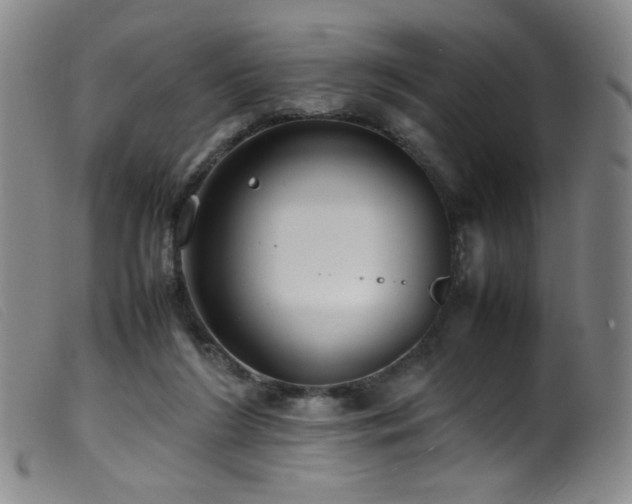 X0000099550212200805161500