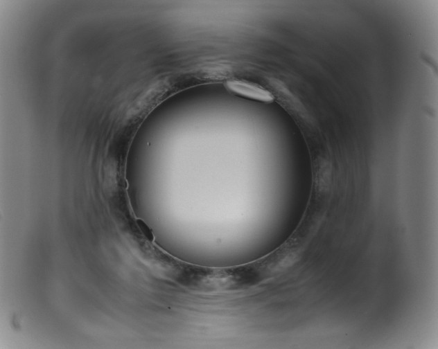 X0000099550213200805161500