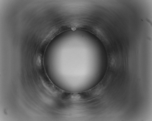 X0000099550214200805161500