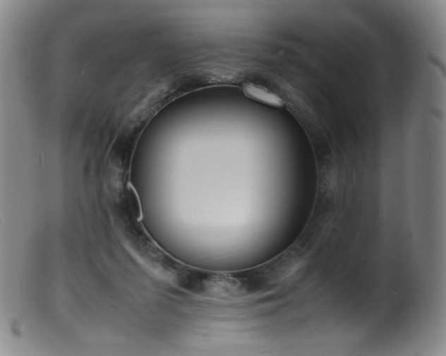 X0000099550215200805161500