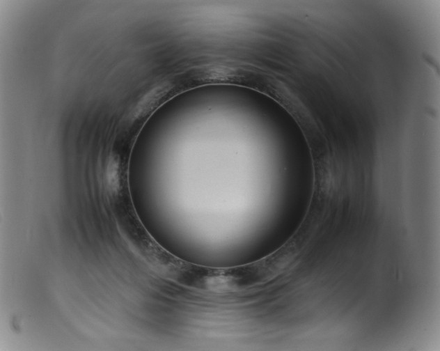 X0000099550216200805161500