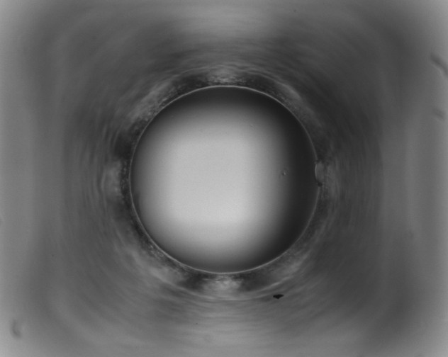 X0000099550217200805161500