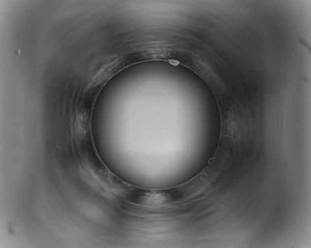 X0000099550218200805161500