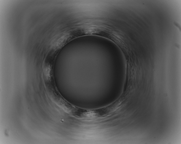 X0000099550219200805161500