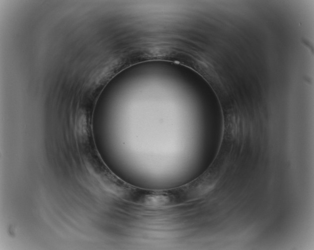 X0000099550220200805161500