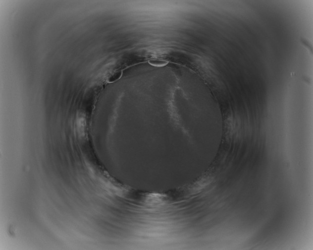 X0000099550222200805161500