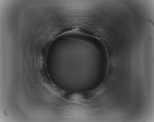X0000099550223200805161500