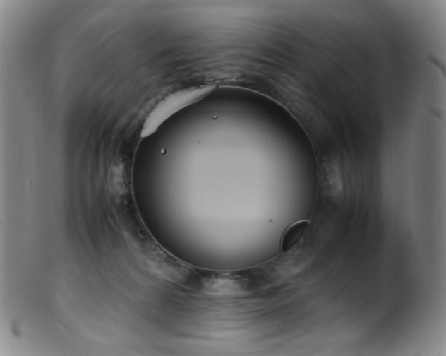 X0000099550224200805161500