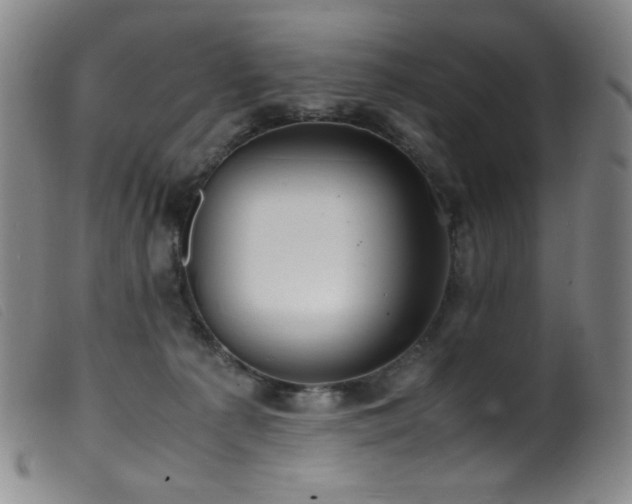 X0000099550225200805161500
